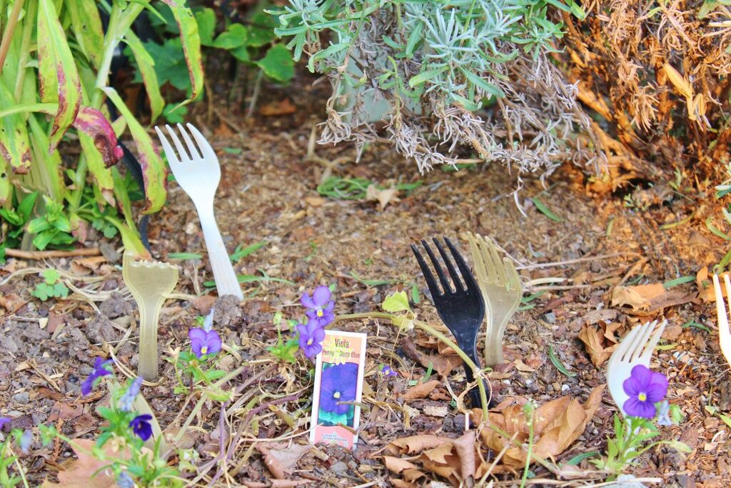 Garden protection photo